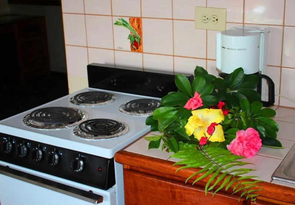 سان هوزيه Hotel Ecological Inn المظهر الخارجي الصورة