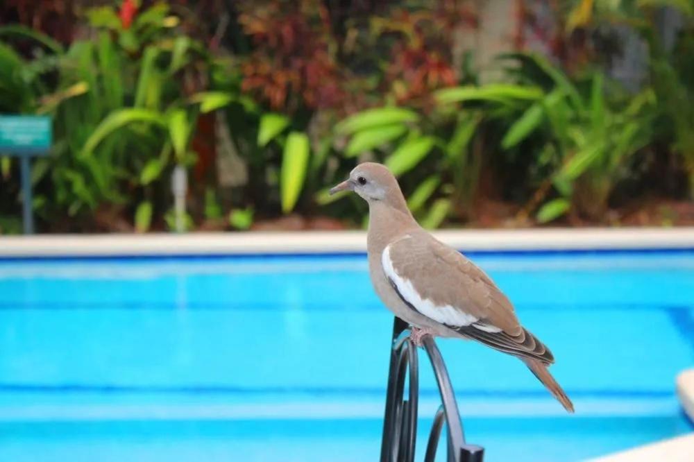 سان هوزيه Hotel Ecological Inn المظهر الخارجي الصورة