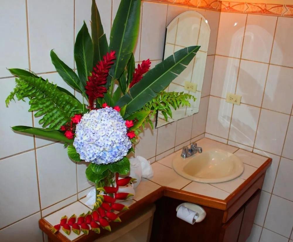 سان هوزيه Hotel Ecological Inn المظهر الخارجي الصورة