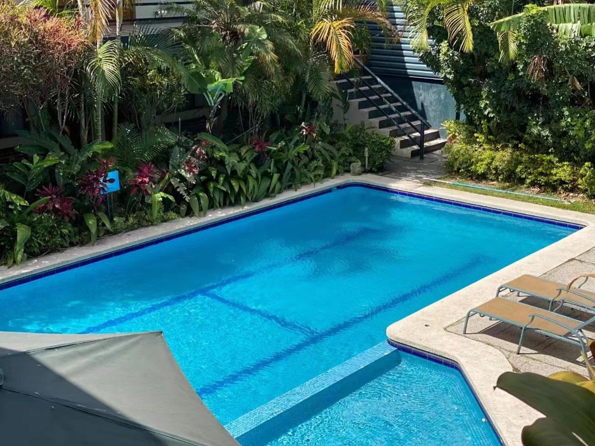 سان هوزيه Hotel Ecological Inn المظهر الخارجي الصورة